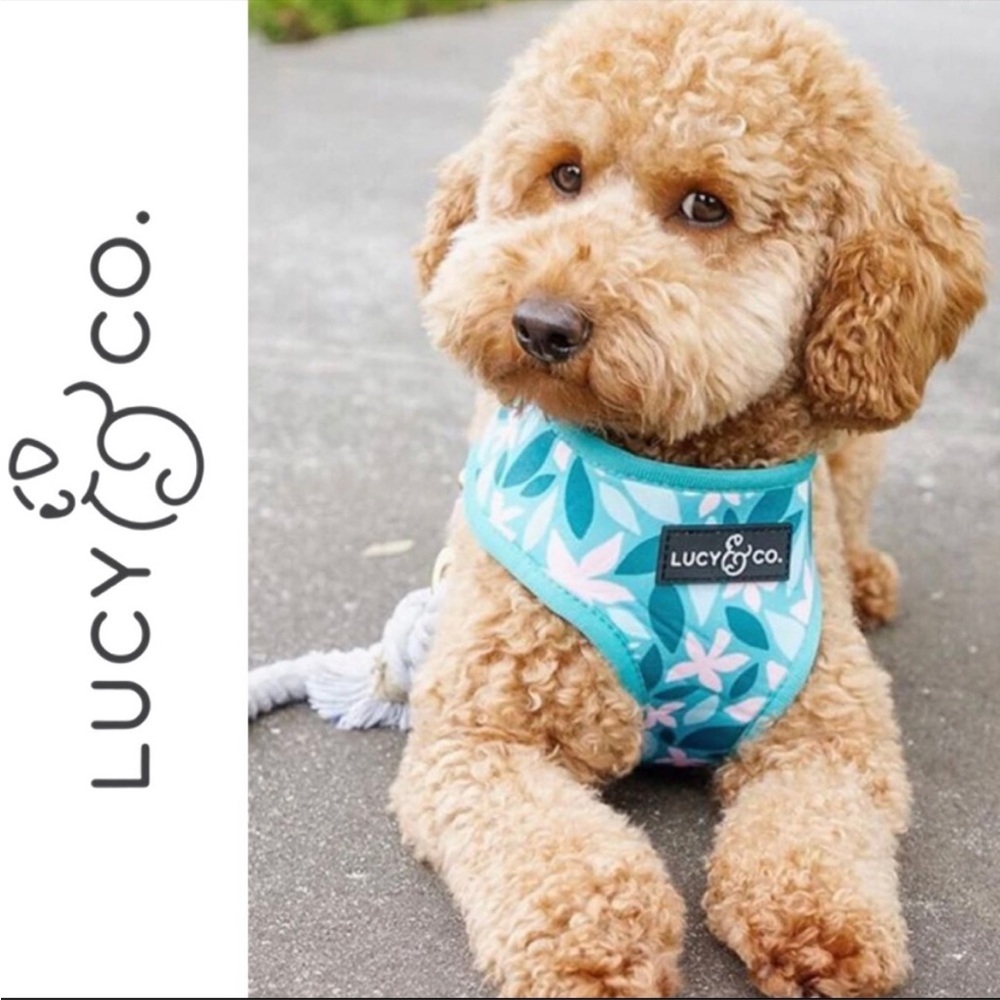 Lucy & Co Reversible Dog Harness Size XS